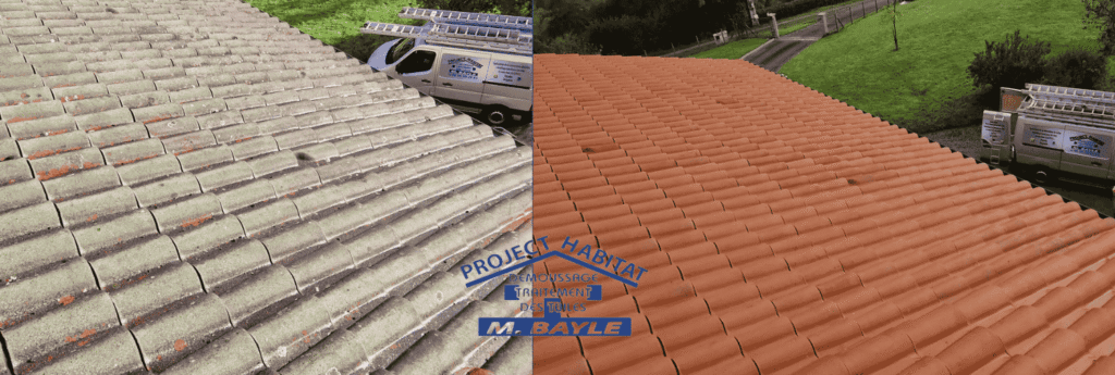 démoussage de toiture à Lamure-sur-Azergues Project Habitat